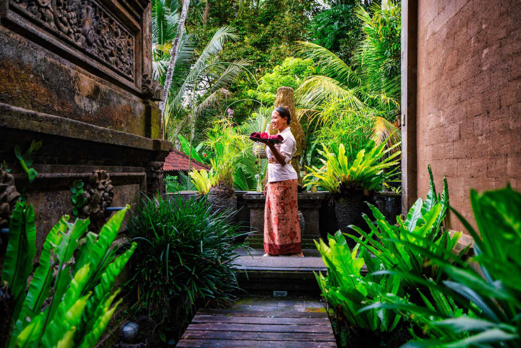 balinese-1_hq_tumb