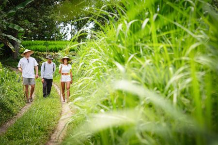 De Klumpu Bali