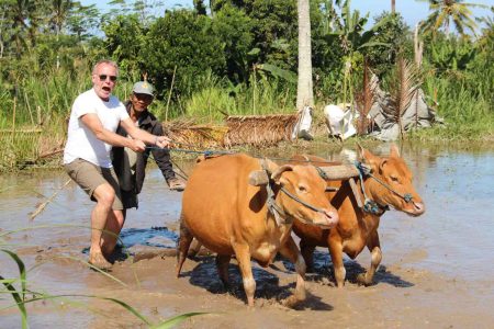De Klumpu Bali